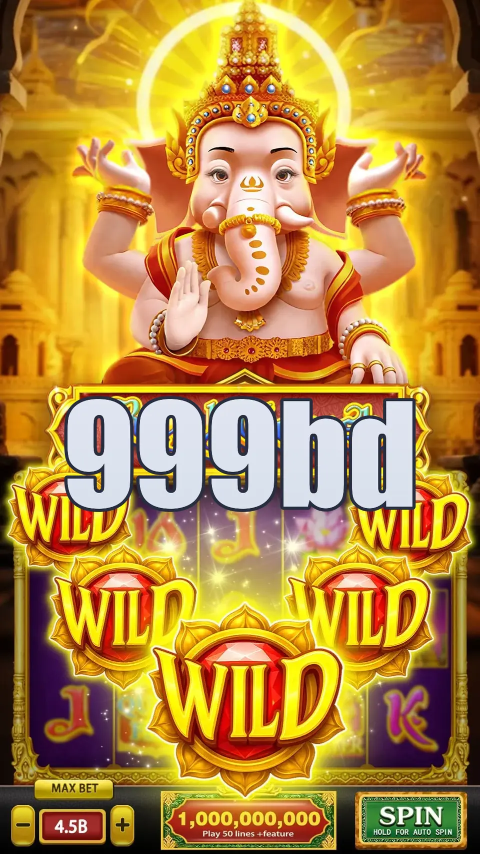 999bd লগইন